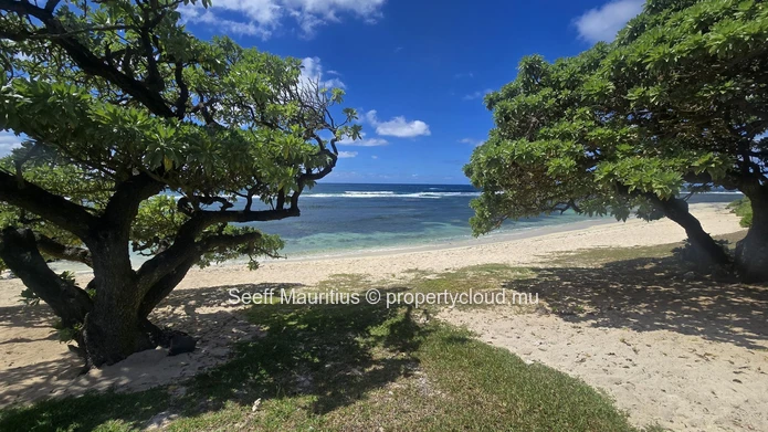 Ultimate Coastal Sanctuary