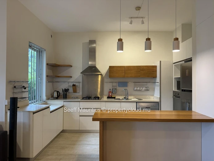 Modern Living in the Heart of Helvetia